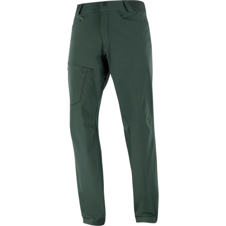 Green Salomon Wayfarer Men's Sport Pants | IE WQ8125